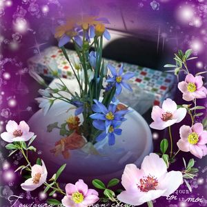 Meet your Posher, Donna